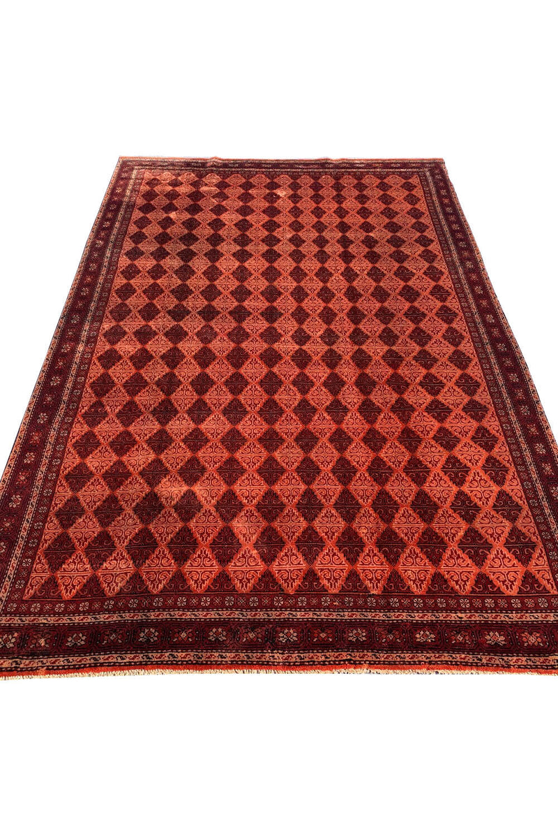 Authentic Hand Knotted Vintage Shrz Wool Area Rug 10.0 X 6.5 Ft (435 Ger)