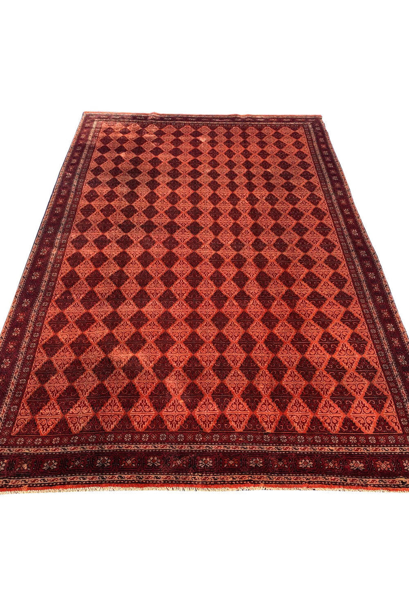 Authentic Hand Knotted Vintage Shrz Wool Area Rug 10.1 X 6.5 Ft (435 Ger)