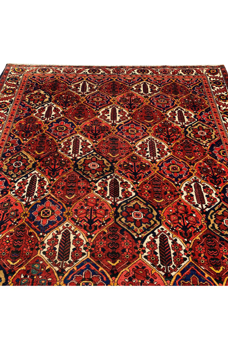 AUTHENTIC HAND KNOTTED VINTAGE BAGHTIYAAR WOOL AREA RUG 10.3 X 7.3 FT (445 GER)